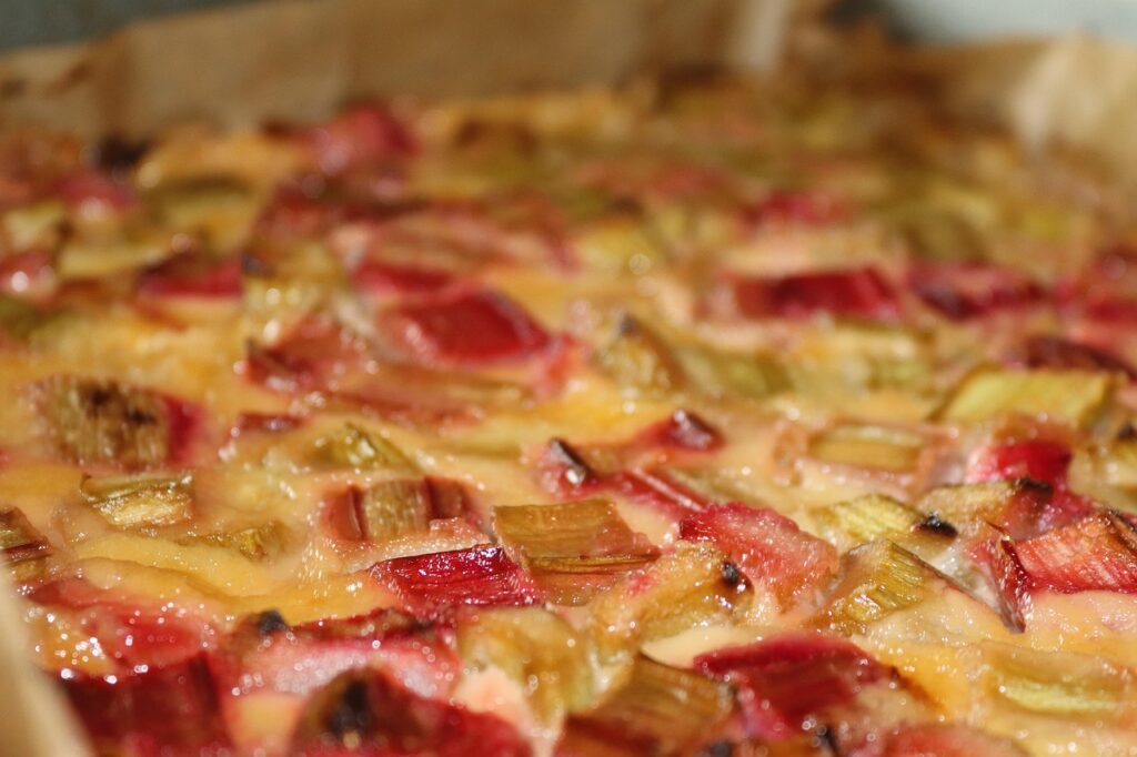 gâteau moelleux à la rhubarbe